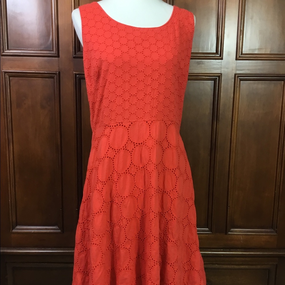 studio one womens coral embroidered edged circles size 16 back zip fun and flatt
